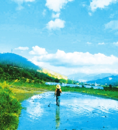 有机生态农业的追梦人 有机生态农业的追梦人