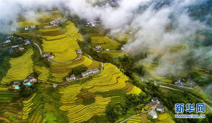 （美丽中国）（1）云端梯田 稻谷飘香 