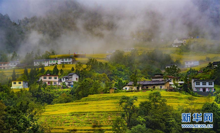 （美丽中国）（6）云端梯田 稻谷飘香 