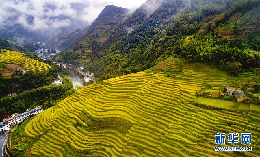 （美丽中国）（4）云端梯田 稻谷飘香 
