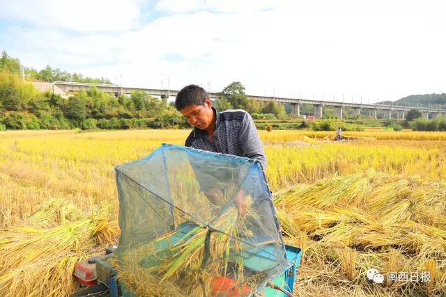 龙岩4县新增千亿斤粮食产能田间建设项目，获中央补助！