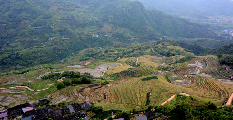 探访福建政和"念山云上梯田":华东地区线条最美的梯田