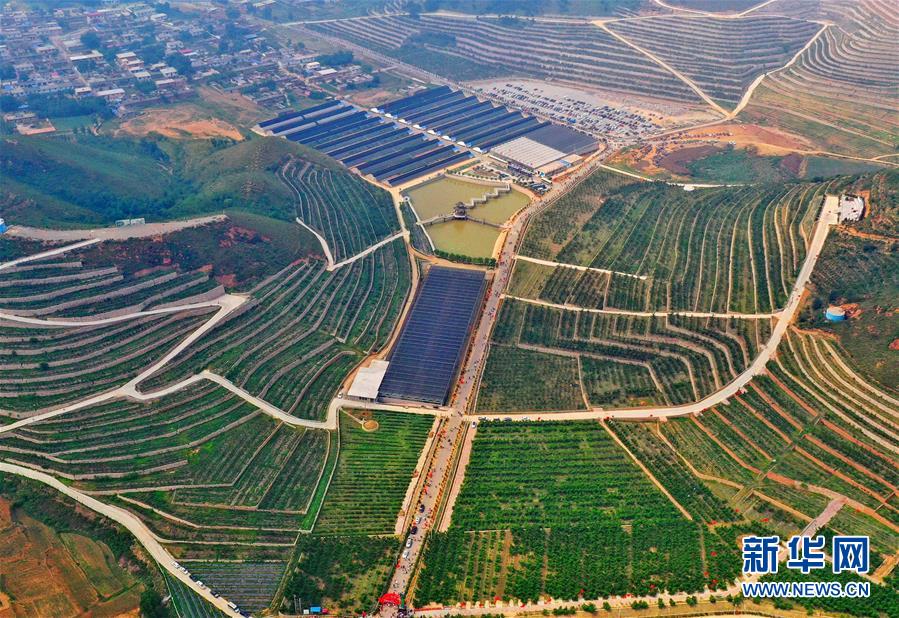 （经济）（1）河北滦州：荒山变身富农生态园