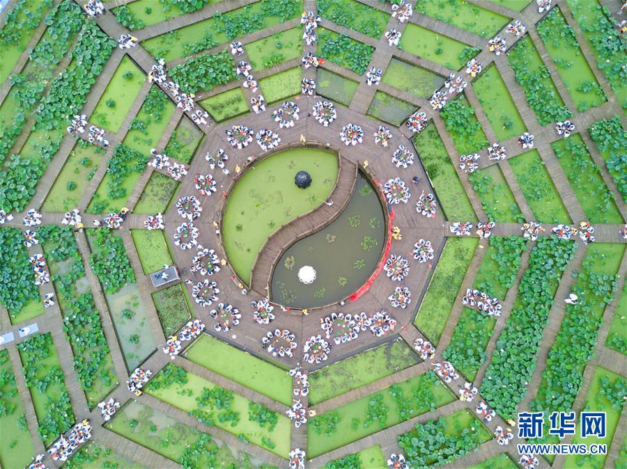 （社会）（2）福建建宁：千亩荷塘 千人制莲