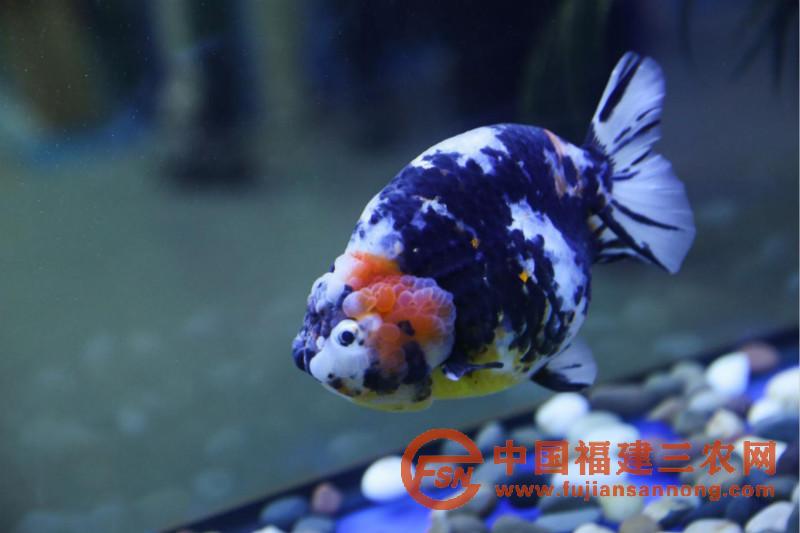 图片17_meitu_14.jpg