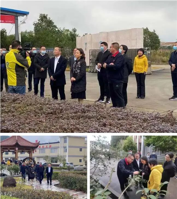 图片23.png