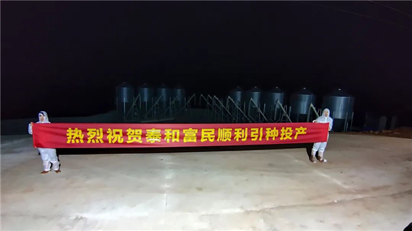 图片31.png