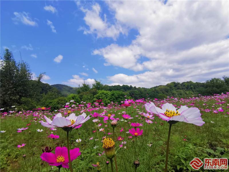 微信图片_20210324135615.jpg 微信图片_20210324135615.jpg