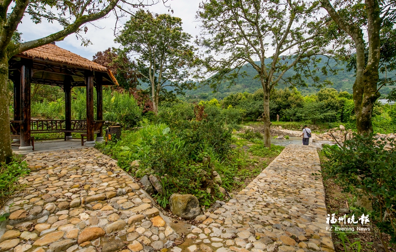 福建晚报2.jpg
