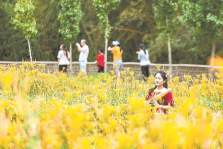 金华扮靓乡村.png