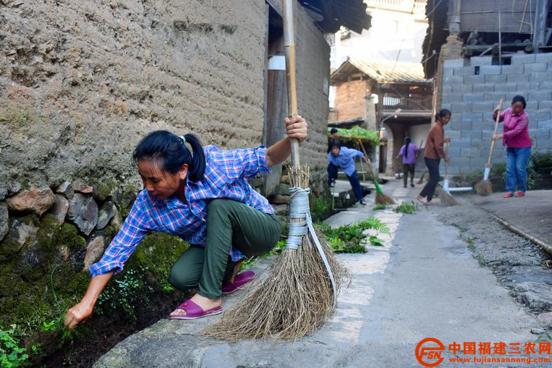 村里的巾帼群众在村头弄口拔杂草、扫马路、清理卫生死角。.jpg