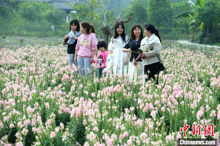 “五一”假期：福州乡村田园引游人