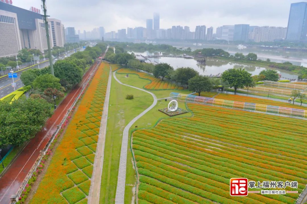 即将放晴！福州“盛宴”来了！