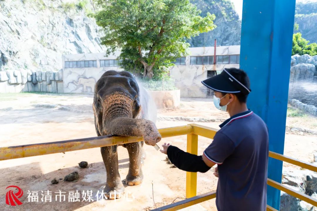 热热热！来福清这里围观“避暑大戏”！