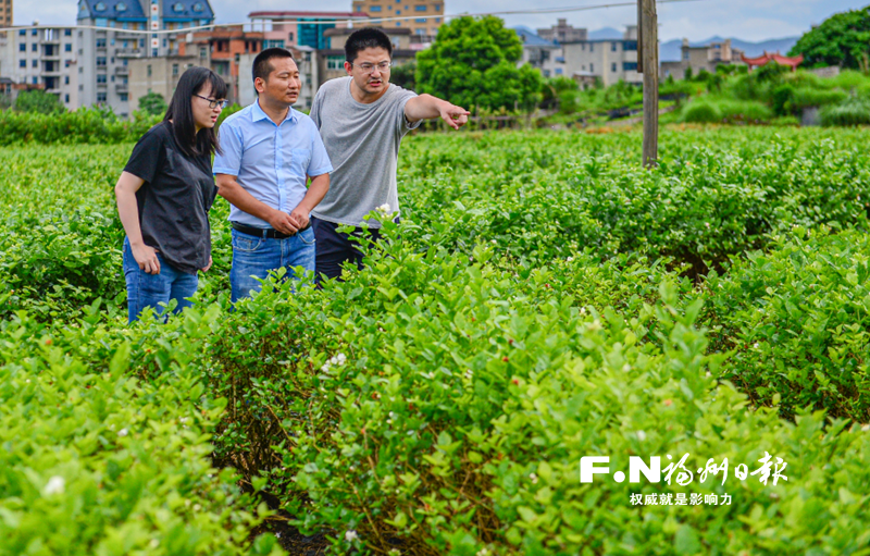 来了科特派 茉莉花更香