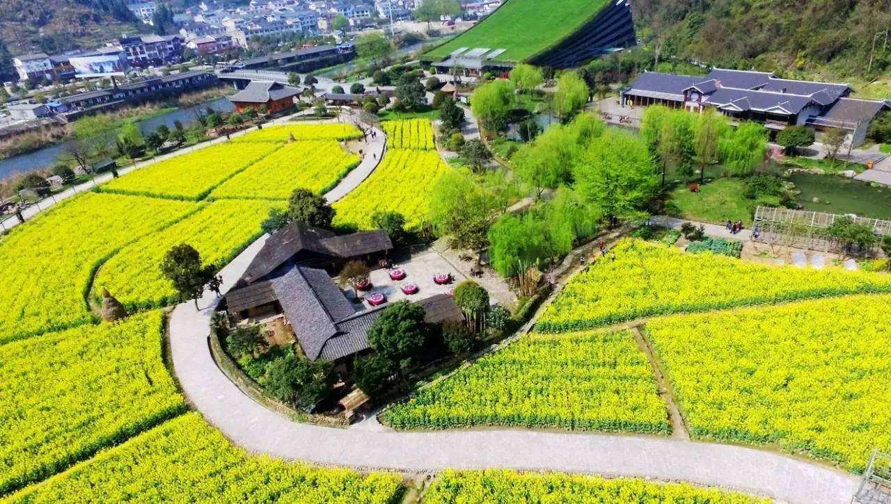 漳州芗城区:打造乡村振兴示范样板-中国福建三农网