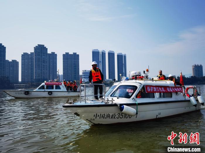 让非法电鱼无所遁形 福建查处违法案件104起