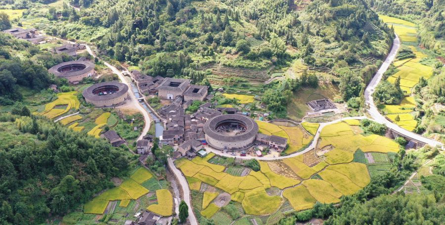 8.在福建土楼（南靖）景区的河坑土楼群，成片金黄色水稻扮靓世遗土楼。韩佳镔 摄