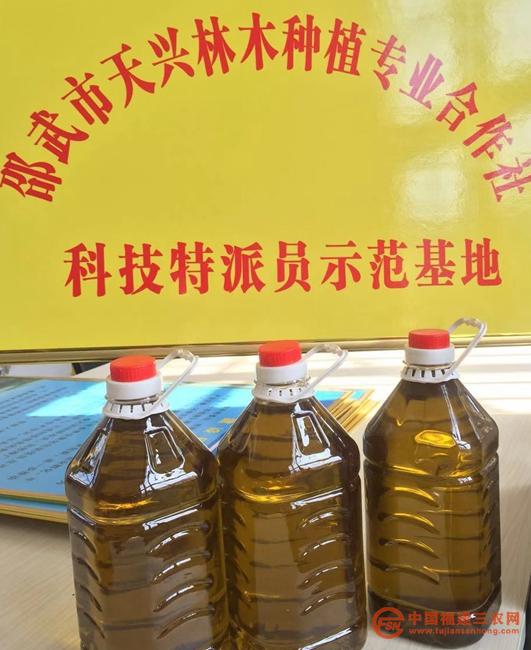 3 邵武市天兴林木种植专业合作社生产的茶籽油（杨小文摄）.jpg