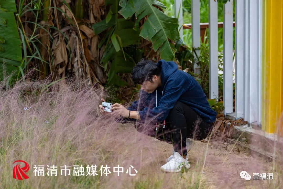 16000㎡超大花海！福清这个地方颜值爆表！