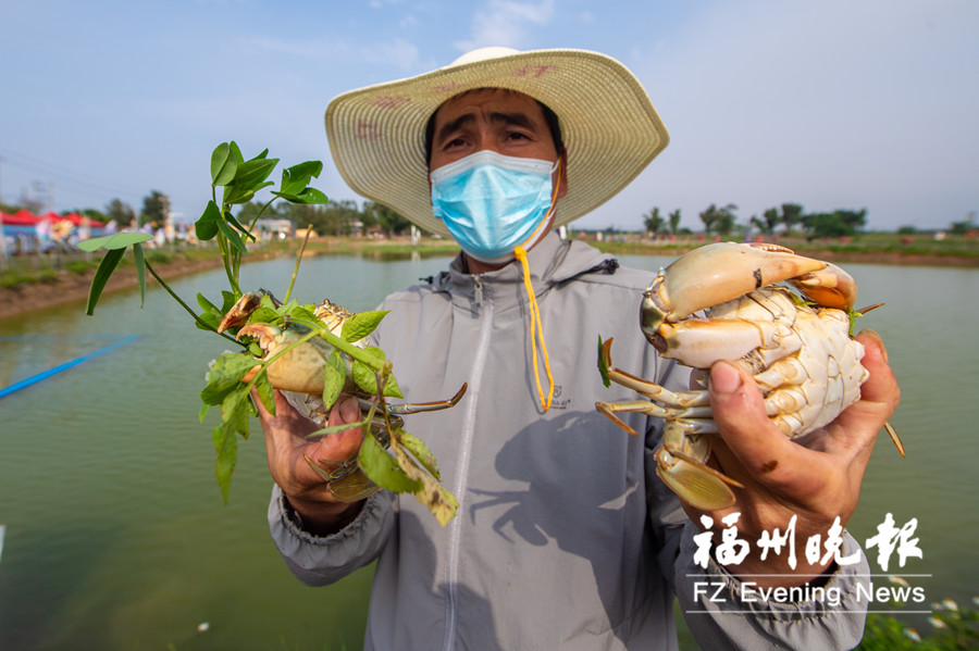 马尾东红村:盐碱滩变聚宝盆