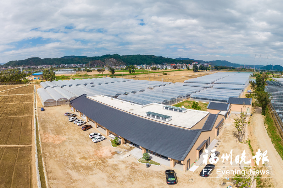 马尾东红村:盐碱滩变聚宝盆