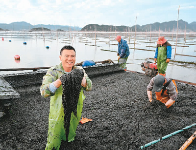 “海上田园”渔歌新唱 福建“耕海牧渔”新气象