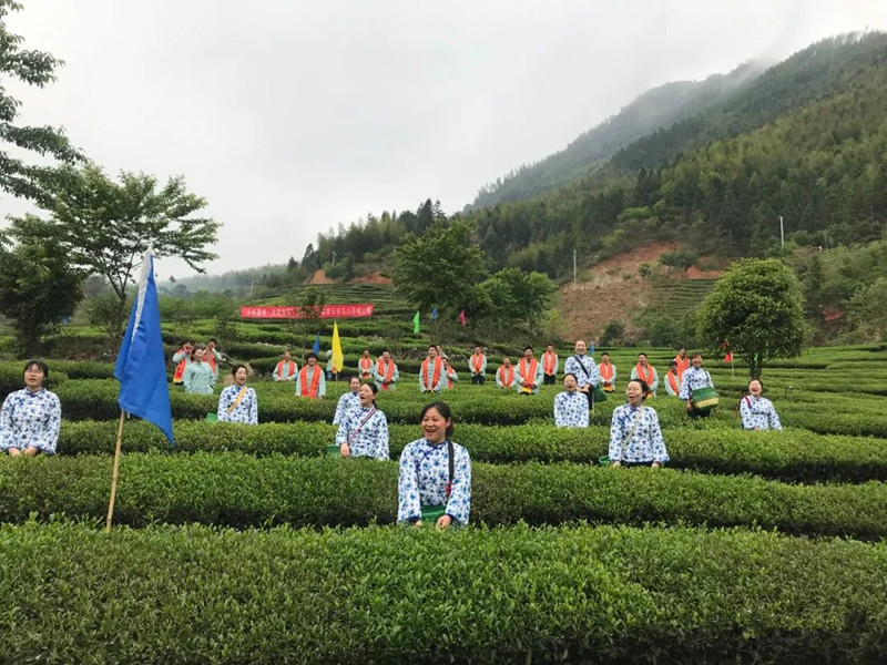 微信图片_20230418114528.jpg