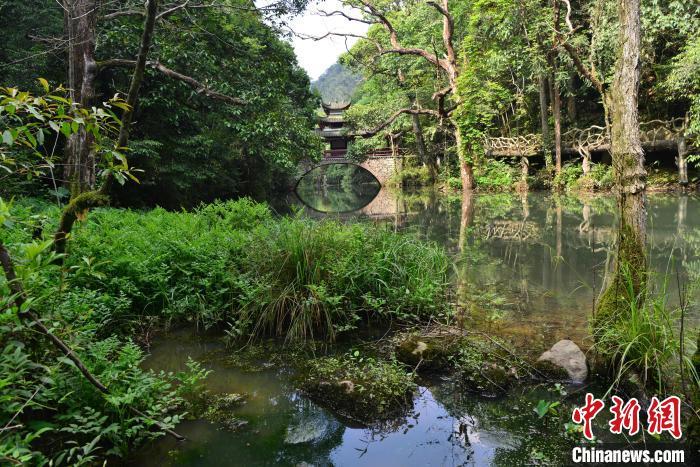 图为5月28日，龙栖山国家级自然保护区内景色如画。　张斌 摄