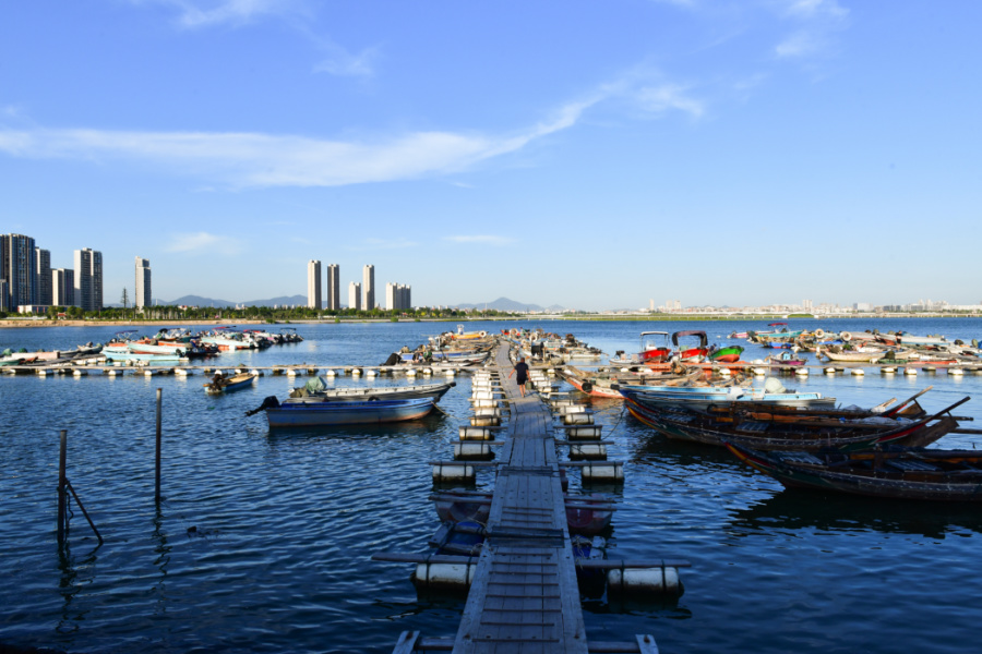 丙洲港南闸、北闸全开，将视海水水位等实际情况，分批组织船只避风。夏海滨摄