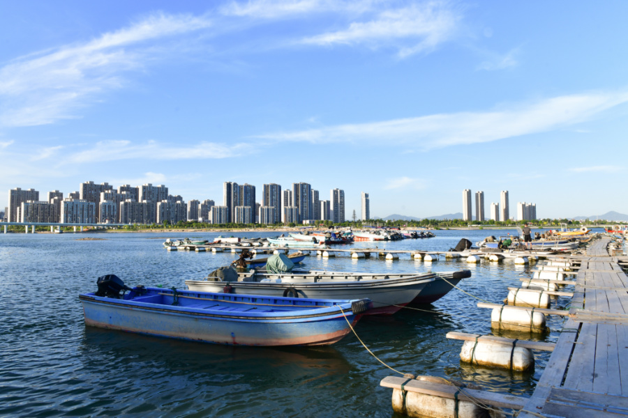 避风坞内，渔船有序进港避风。夏海滨摄