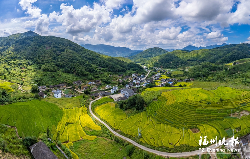 罗源王认村：最美梯田好“丰”景