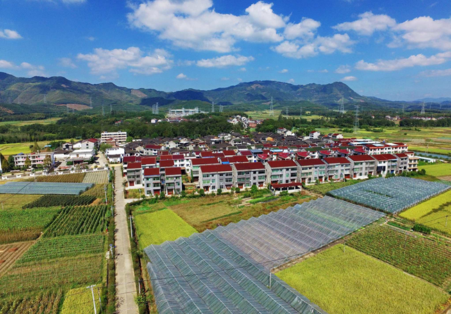 农村宅基地规范管理效果。魏永青摄