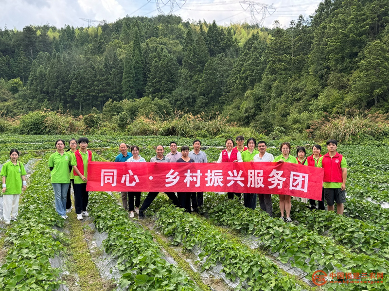 图片10_副本.png