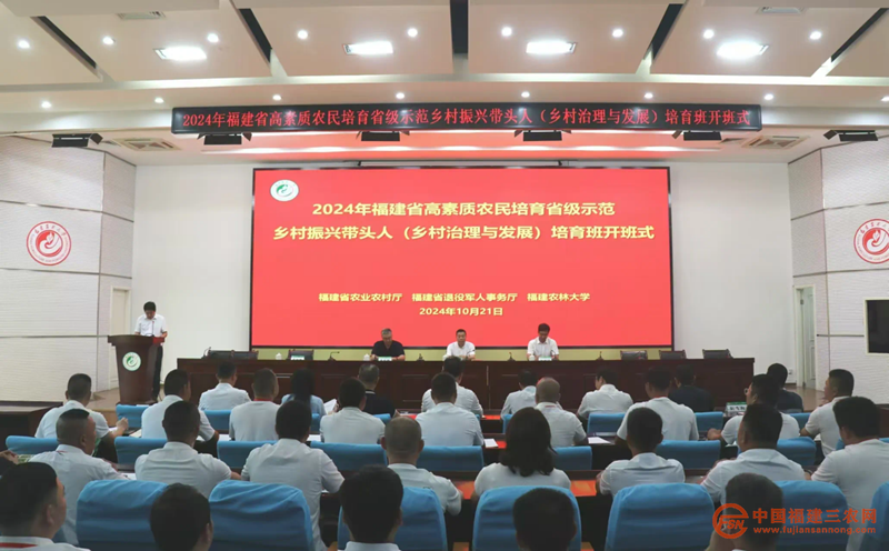 图片9_副本.png