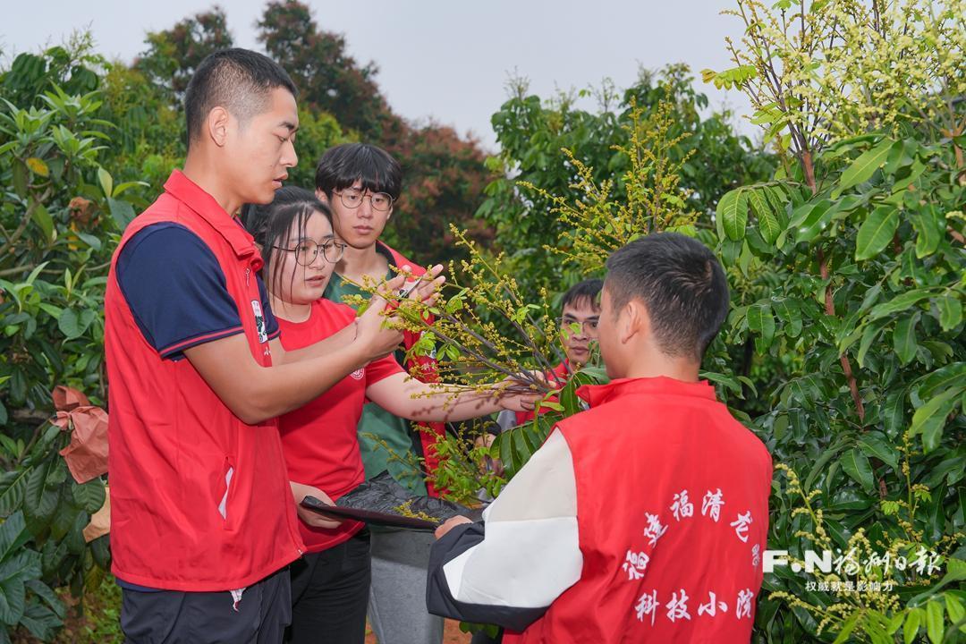 福州市科协：让农业科技种子在乡村生根