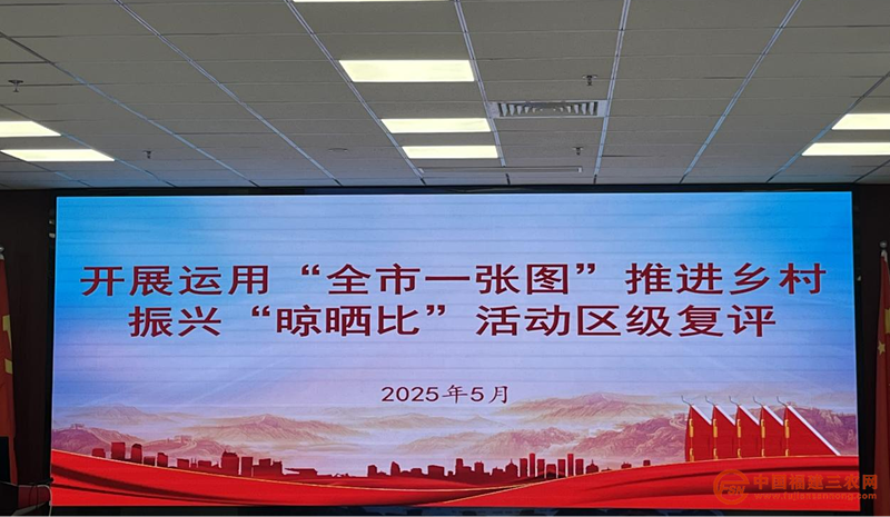 图片13.png