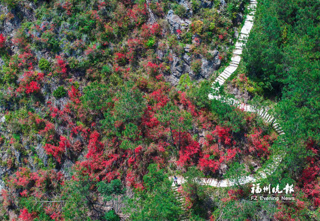 闽侯岭头村：四季有景 全域皆游