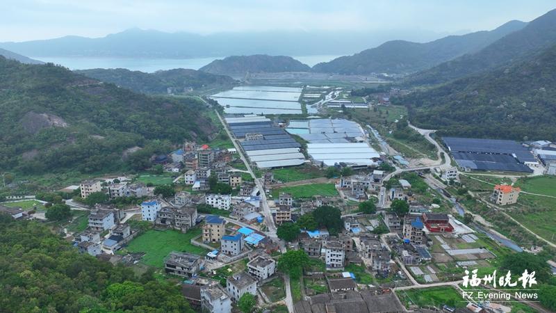 罗源濂澳村：苍鹭诗意栖居地 人鸟共生数百年