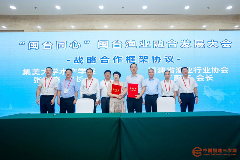 图片17.png