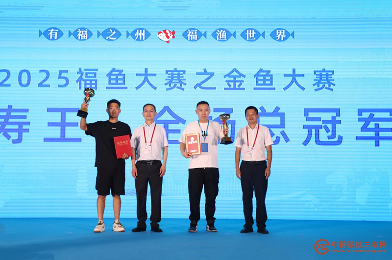 图片13.png