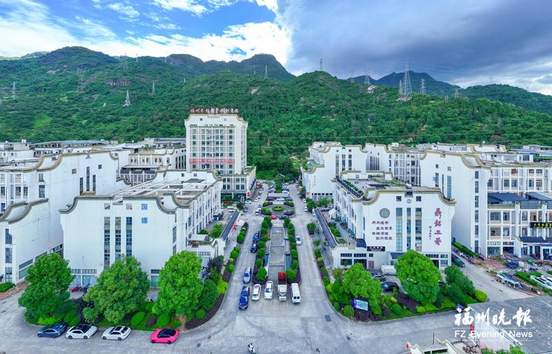 福州高新区马保村：借高校圈聚智 凭木根雕兴业
