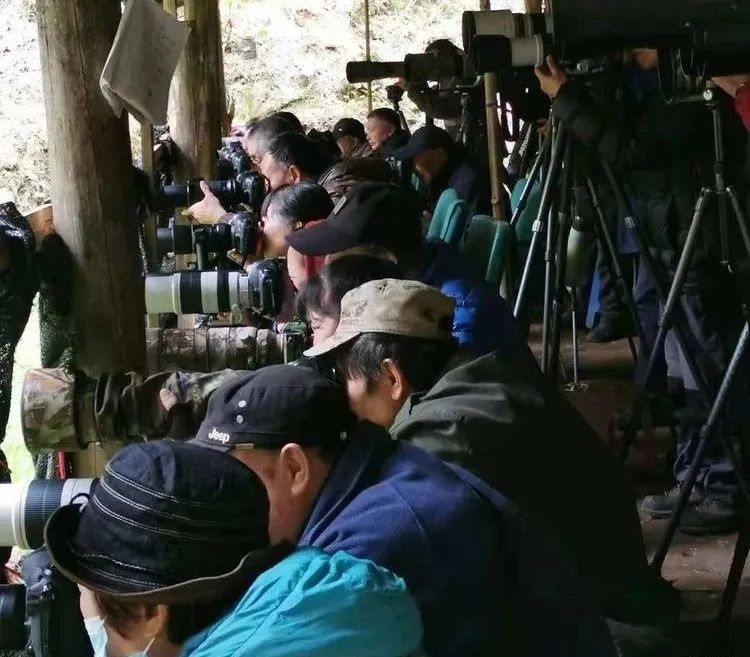 丰田村观鸟基地