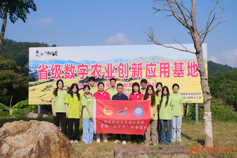 图片12.png