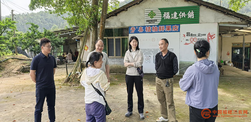 图片11.png