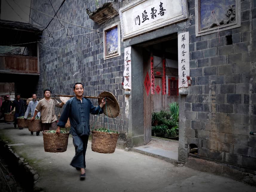 做好“工夫茶”，同饮“共富茶”——探索乡村振兴的宁德福安“坦洋实践”
